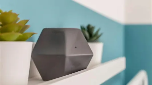 Rooms in Padua - photo 10