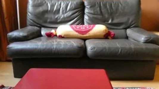 Apartments in Brussels Sint-Pieters-Woluwe - photo 6