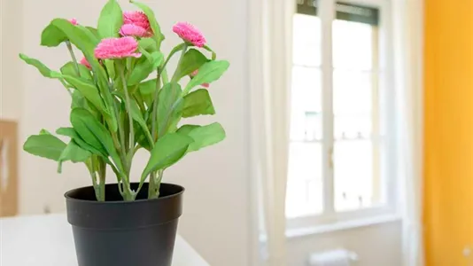 Rooms in Milano Zona 2 - Stazione Centrale, Gorla, Turro, Greco, Crescenzago - photo 6