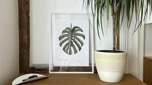 Apartments in Mainz - photo 3