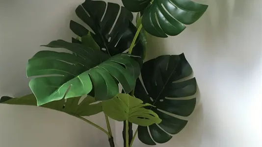 Apartments in Location is not specified - photo 9