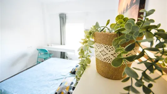 Rooms in la Punta - photo 7