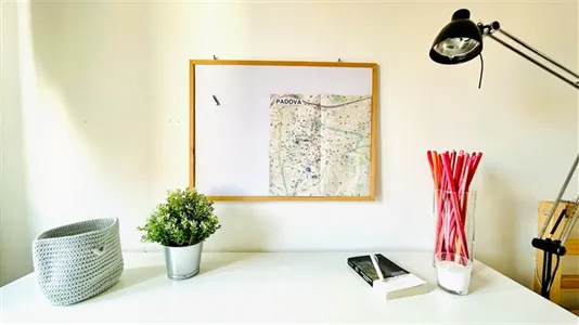 Rooms in Padua - photo 9