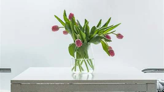 Apartments in Stad Brussel - photo 8