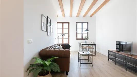 Apartments in Barcelona Ciutat Vella - photo 4