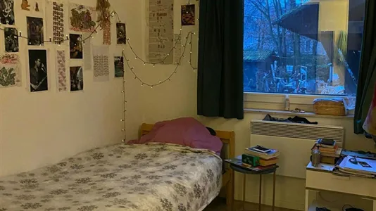 Rooms in Lanaken - photo 6