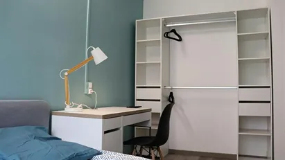 Room for rent in Toulouse, Occitanie