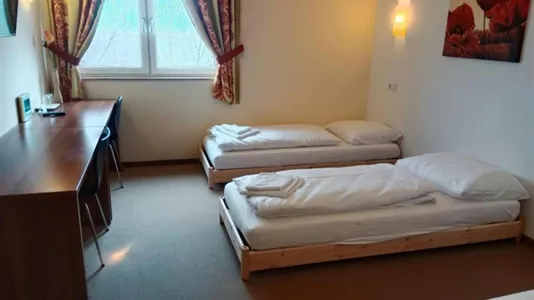 Apartments in Donnerskirchen - photo 10