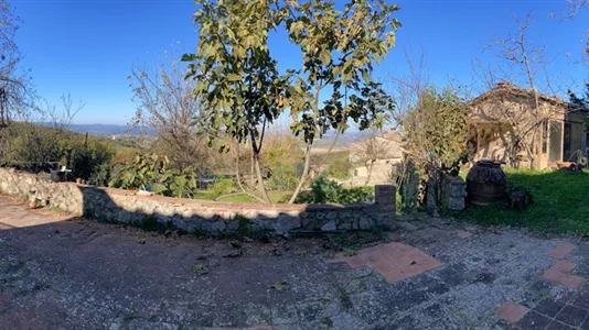 Rooms in Monteroni d'Arbia - photo 4