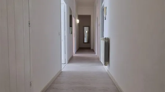 Rooms in Roma Municipio VIII – Appia Antica - photo 7