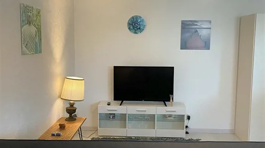 Apartments in Dietikon - photo 2