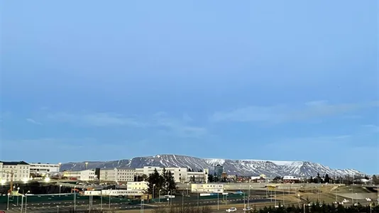 Apartments in Reykjavík Hlíðar - photo 5