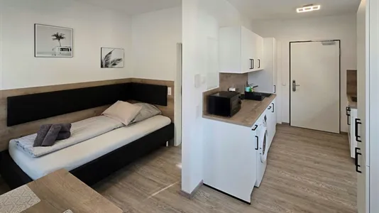 Apartments in Miltenberg - photo 6