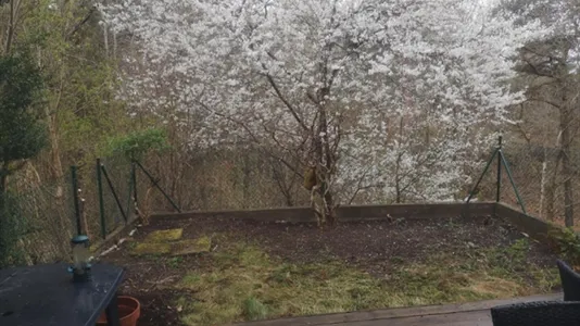 Houses in Angered - photo 14