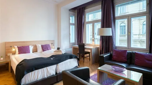 Apartments in Vienna Josefstadt - photo 4