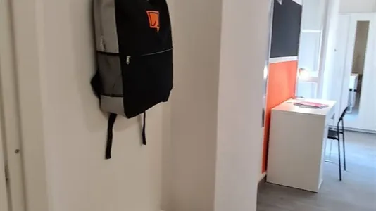 Rooms in Roma Municipio VIII – Appia Antica - photo 5