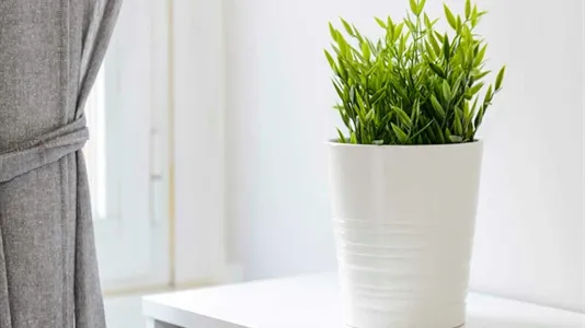 Rooms in Milano Zona 2 - Stazione Centrale, Gorla, Turro, Greco, Crescenzago - photo 7