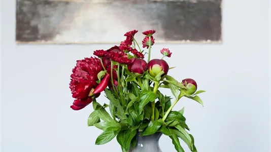 Apartments in Vienna Leopoldstadt - photo 5