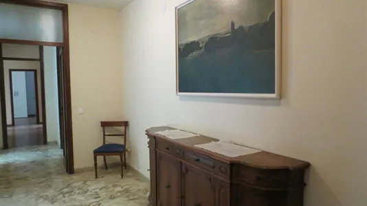 Rooms in Pisa - photo 5