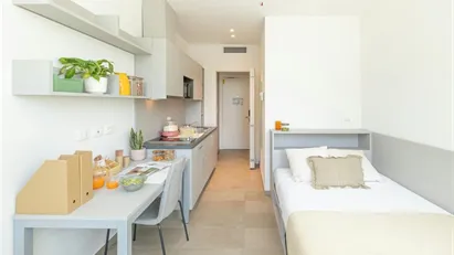 Apartment for rent in Florence, Toscana