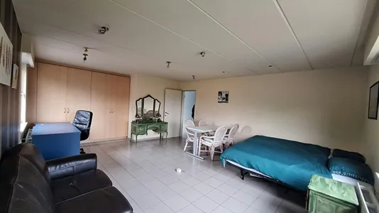 Houses in Hoogstraten - photo 3