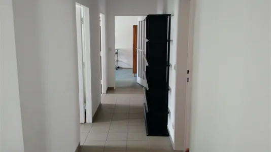 Rooms in Vienna Favoriten - photo 5