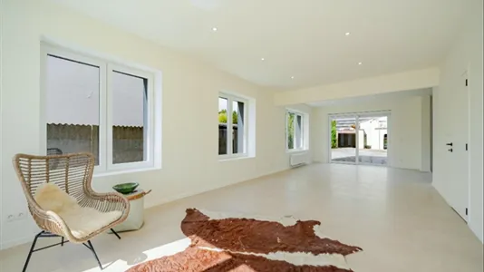 Houses in Dendermonde - photo 2