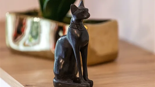 Apartments in Gdańsk - photo 7