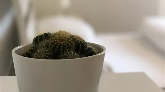 Rooms in Vienna Leopoldstadt - photo 5