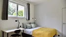 Room for rent, Antony, Île-de-France, Place de la République