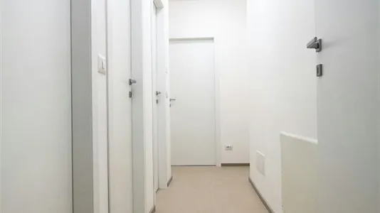 Rooms in Rimini - photo 7