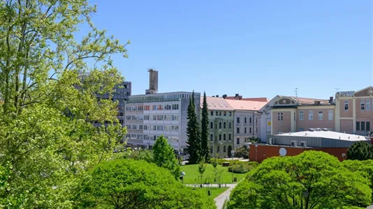 Apartments in Hoče-Slivnica - photo 10