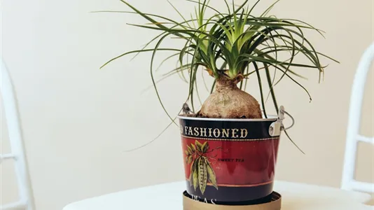 Rooms in Location is not specified - photo 10