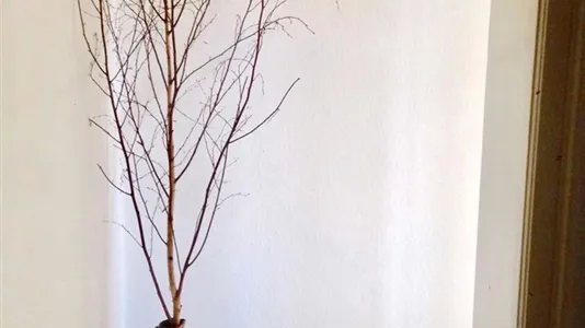 Apartments in Berlin Friedrichshain-Kreuzberg - photo 10