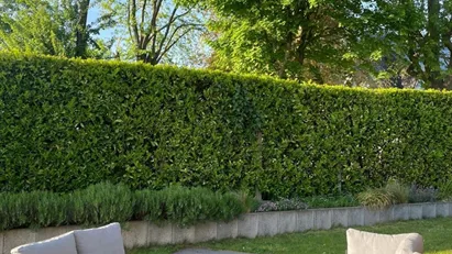 House for rent in Vilvoorde, Vlaams-Brabant
