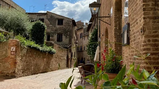 Apartments in Certaldo - photo 10