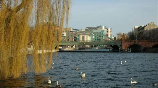 Apartments in Berlin Mitte - photo 7