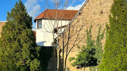 Rooms in Main-Taunus-Kreis - photo 7