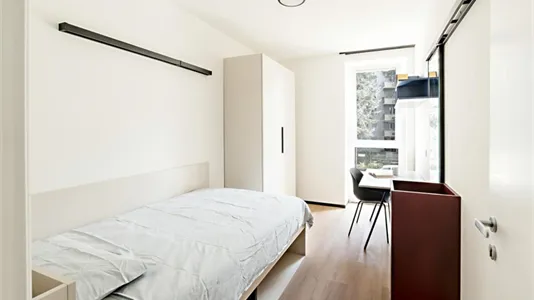 Rooms in Milano Zona 3 - Porta Venezia, Città Studi, Lambrate - photo 1