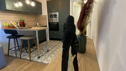 Apartments in Toulouse - photo 7