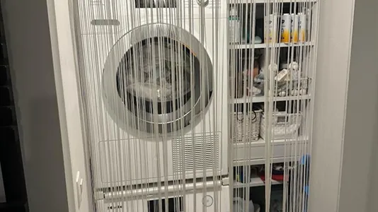 Apartments in Stad Brussel - photo 9