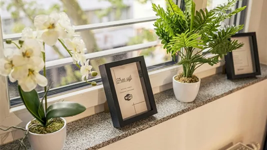 Apartments in Mannheim - photo 7