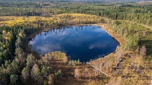 Houses in Tranemo - photo 3