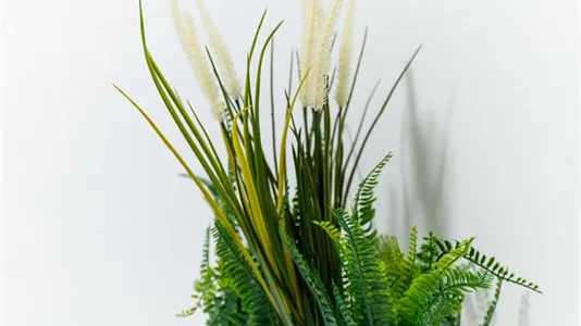 Rooms in Turin - photo 10