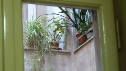 Rooms in Pisa - photo 10