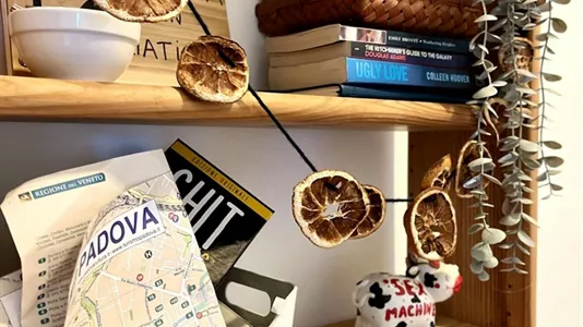 Rooms in Padua - photo 8