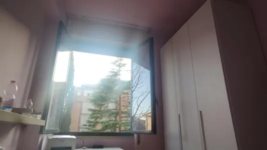 Rooms in Pisa - photo 8