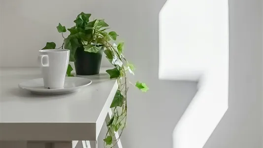 Rooms in Barcelona Ciutat Vella - photo 10