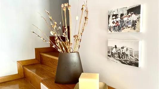 Houses in Terras de Bouro - photo 7