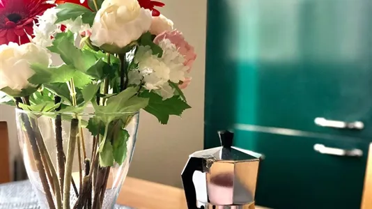 Rooms in Padua - photo 9